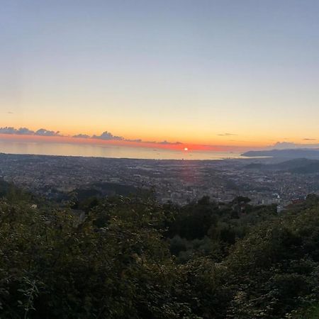 Villa Ancora bilocale Marina di Massa Esterno foto