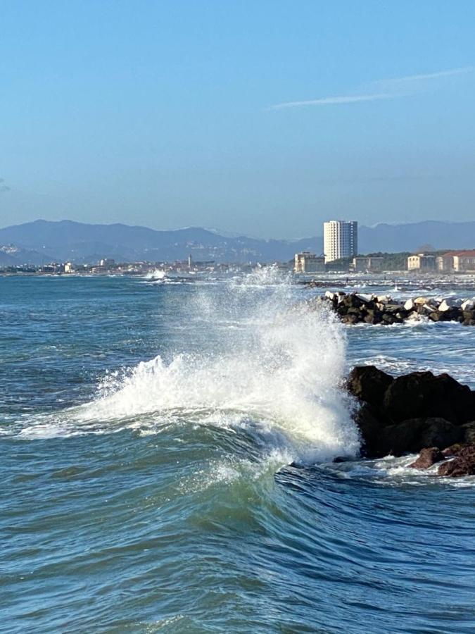 Villa Ancora bilocale Marina di Massa Esterno foto