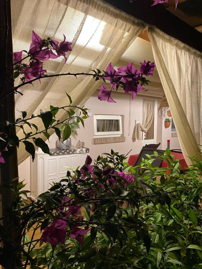 Villa Ancora bilocale Marina di Massa Esterno foto