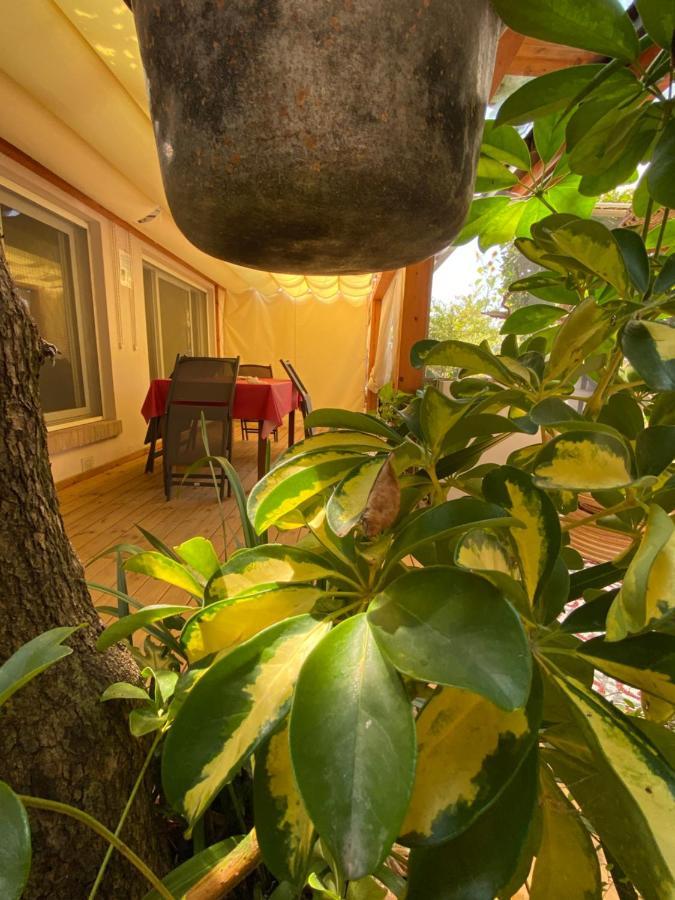 Villa Ancora bilocale Marina di Massa Esterno foto