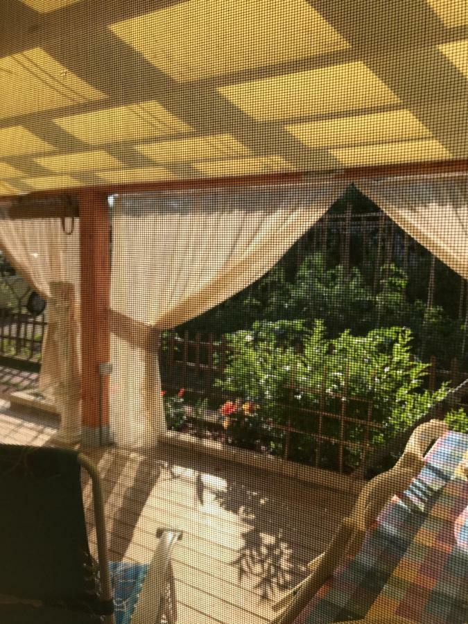Villa Ancora bilocale Marina di Massa Esterno foto