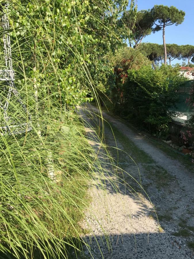 Villa Ancora bilocale Marina di Massa Esterno foto