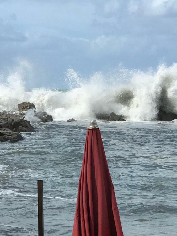 Villa Ancora bilocale Marina di Massa Esterno foto