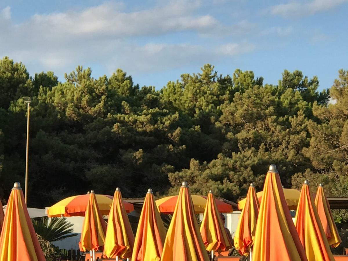 Villa Ancora bilocale Marina di Massa Esterno foto