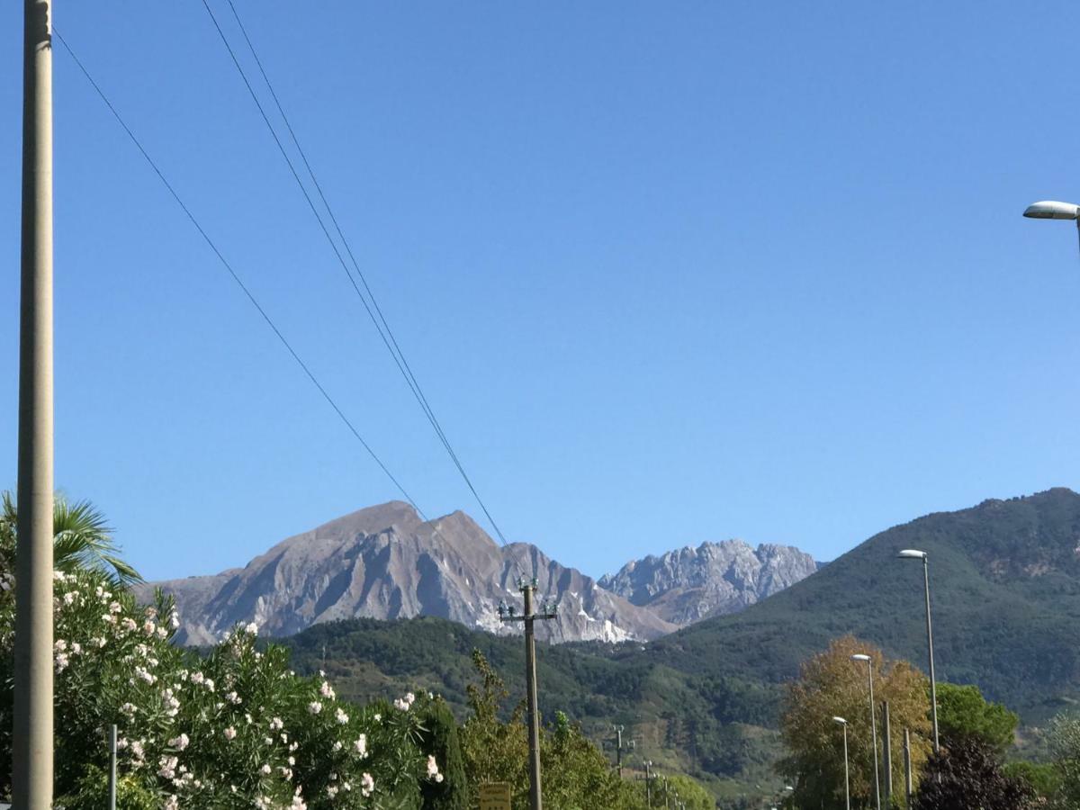 Villa Ancora bilocale Marina di Massa Esterno foto
